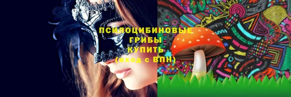 гашик Алзамай
