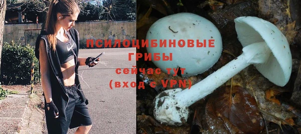 гашик Алзамай