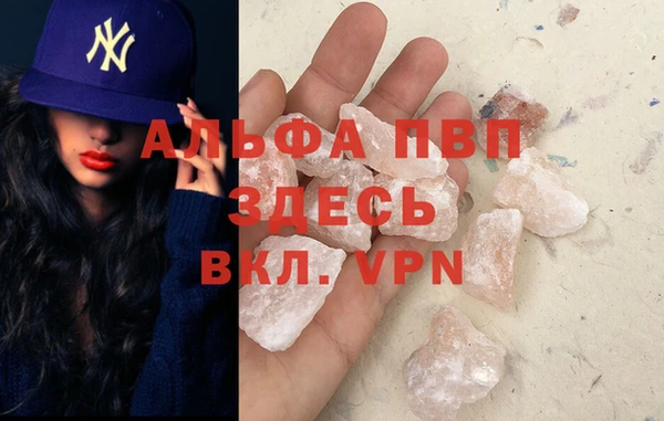 СК Надым