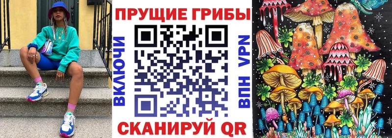Псилоцибиновые грибы Psilocybine cubensis  купить   Краснознаменск 